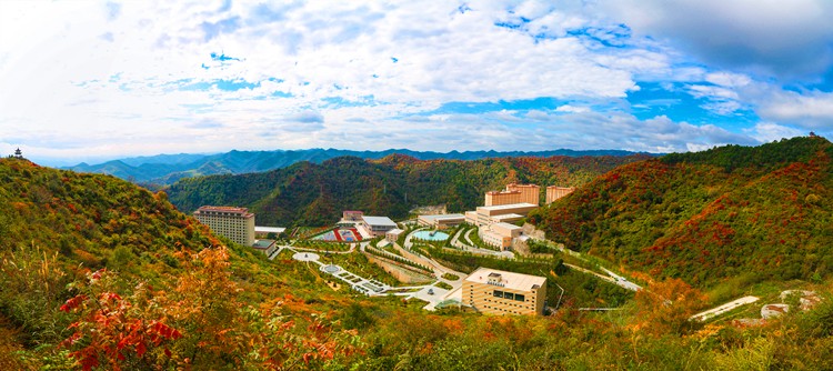 202004101586507832103181.jpg 0.jpg