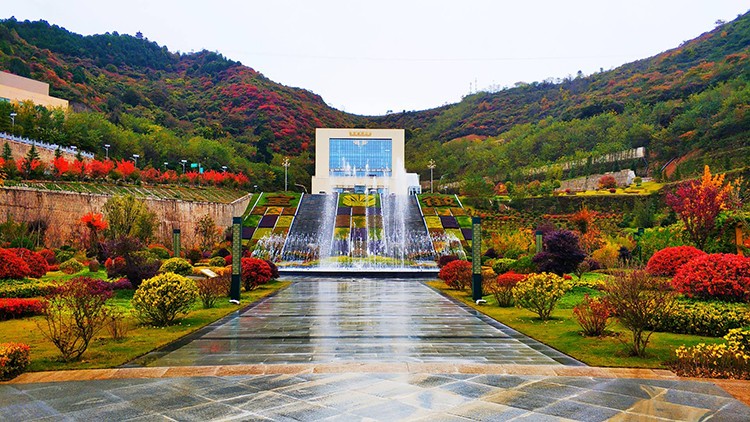 202011201605842601906507.jpg 5.jpg