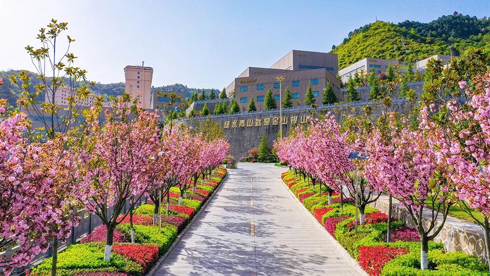 202508281756345180134331.jpg 1.jpg