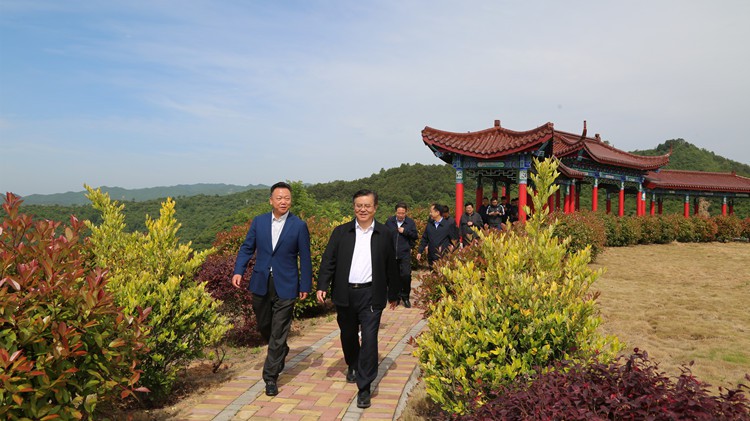 省人民檢察院黨組書記、檢察長朱玉調研金徽股份